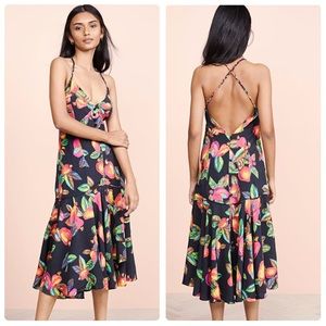 FARM RIO-Cashew Button Front Midi Dress NWT